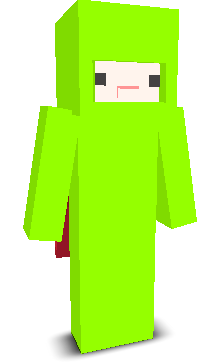 User's Minecraft appearance