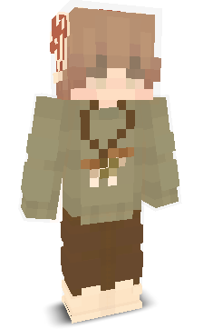 User's Minecraft appearance