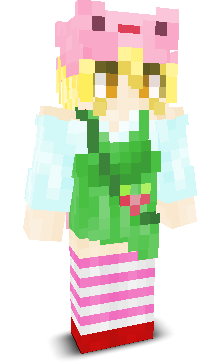 User's Minecraft appearance