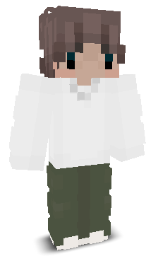 User's Minecraft appearance