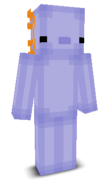 User's Minecraft appearance