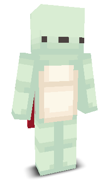 User's Minecraft appearance