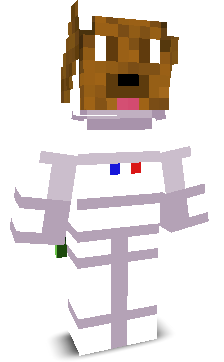 User's Minecraft appearance