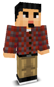 User's Minecraft appearance