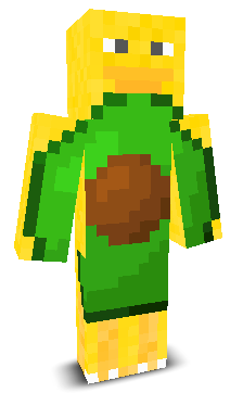 User's Minecraft appearance