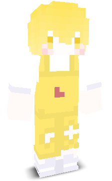 User's Minecraft appearance