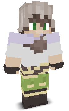 User's Minecraft appearance
