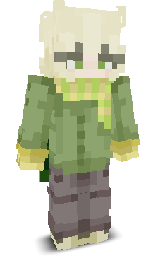 User's Minecraft appearance