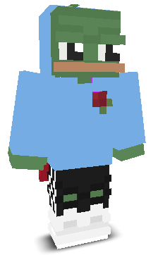 User's Minecraft appearance