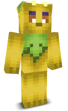 User's Minecraft appearance