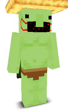 User's Minecraft appearance