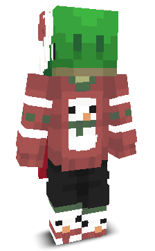 User's Minecraft appearance