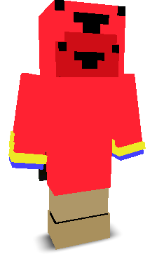 User's Minecraft appearance