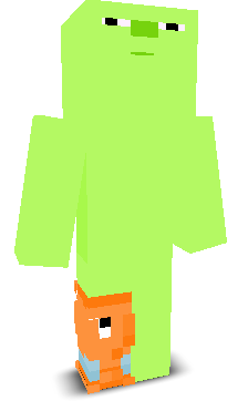 User's Minecraft appearance