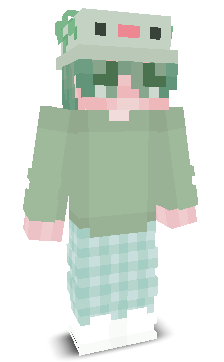 User's Minecraft appearance