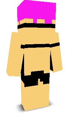 User's Minecraft appearance