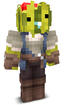 User's Minecraft appearance