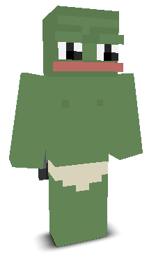 User's Minecraft appearance