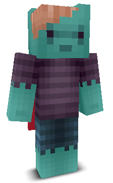 User's Minecraft appearance