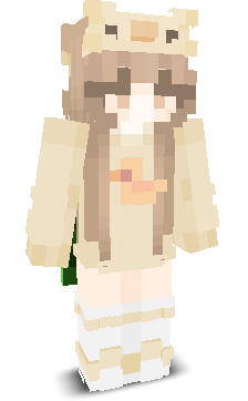 User's Minecraft appearance