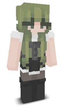 User's Minecraft appearance
