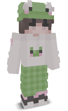 User's Minecraft appearance