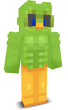 User's Minecraft appearance