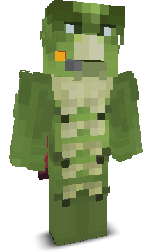User's Minecraft appearance