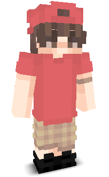 User's Minecraft appearance