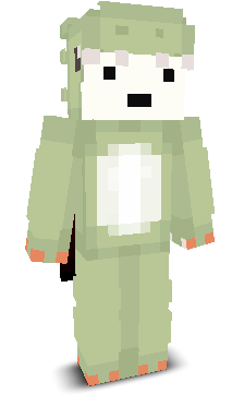 User's Minecraft appearance