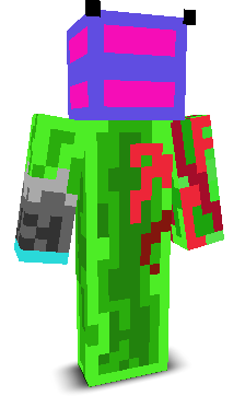 User's Minecraft appearance