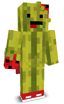 User's Minecraft appearance