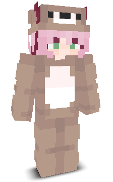 User's Minecraft appearance