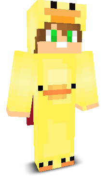 User's Minecraft appearance