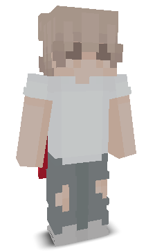 User's Minecraft appearance