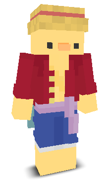 User's Minecraft appearance