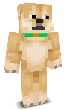 User's Minecraft appearance