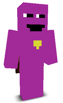 User's Minecraft appearance