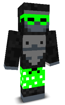 User's Minecraft appearance