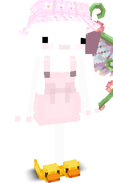 User's Minecraft appearance