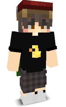 User's Minecraft appearance