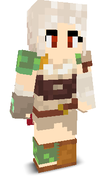 User's Minecraft appearance