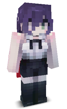 User's Minecraft appearance