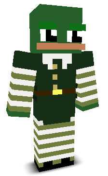 User's Minecraft appearance