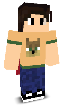 User's Minecraft appearance