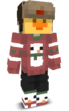 User's Minecraft appearance