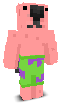 User's Minecraft appearance