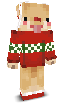 User's Minecraft appearance