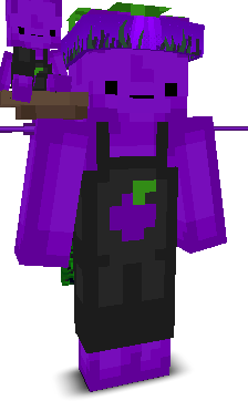 User's Minecraft appearance