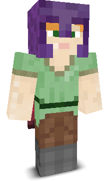 User's Minecraft appearance